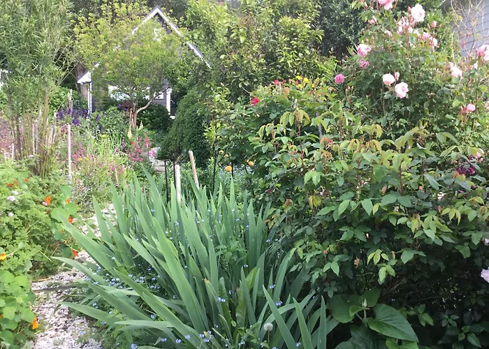 Hahei Kereru Cottage